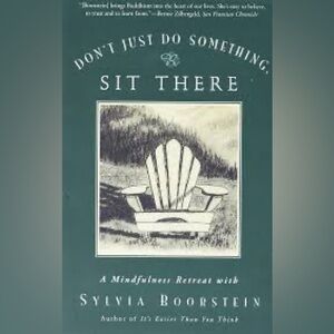 Book “don’t just do something, sit there a mindfulness retreat.”